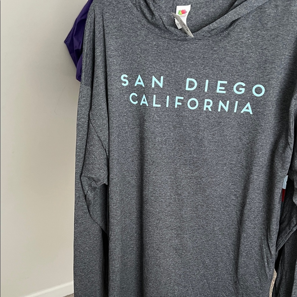 Fruit of the Loom Gray Hoodie with Blue Text